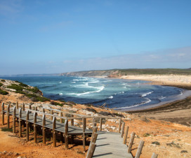 carrapateira portugal 4