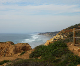 torrey pines 4