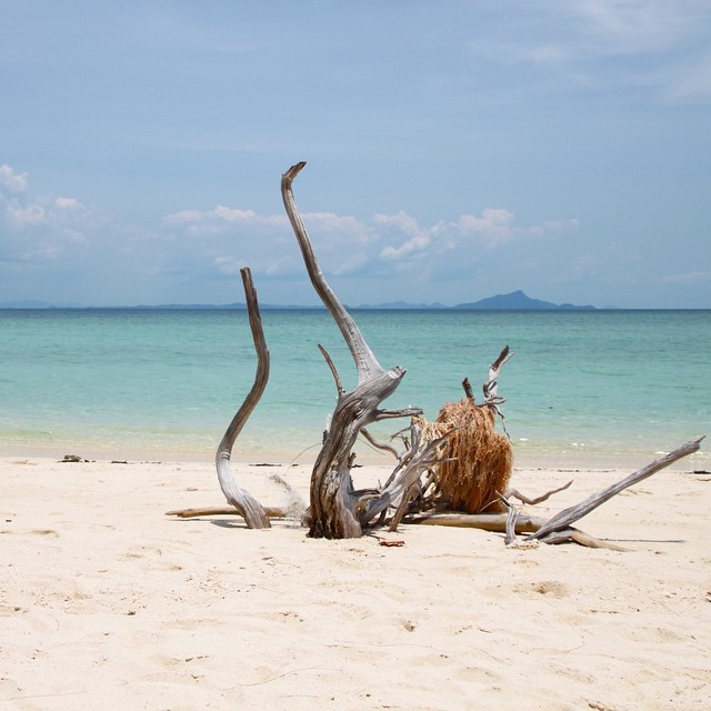 Yesterday I watched an episode of Amazing Race where they were in Thailand and then talked to a bunch of different people about how awesome Thailand and Thai street food are and it is official. I miss this country!