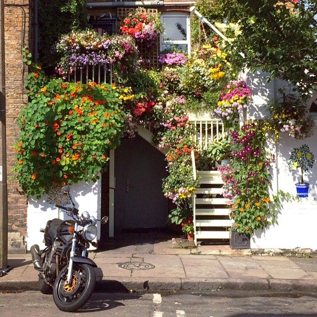 🌸🌼🌺 #london